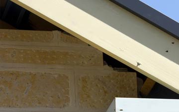 soffit repair Horley