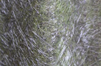 Horley fibreglass roof work